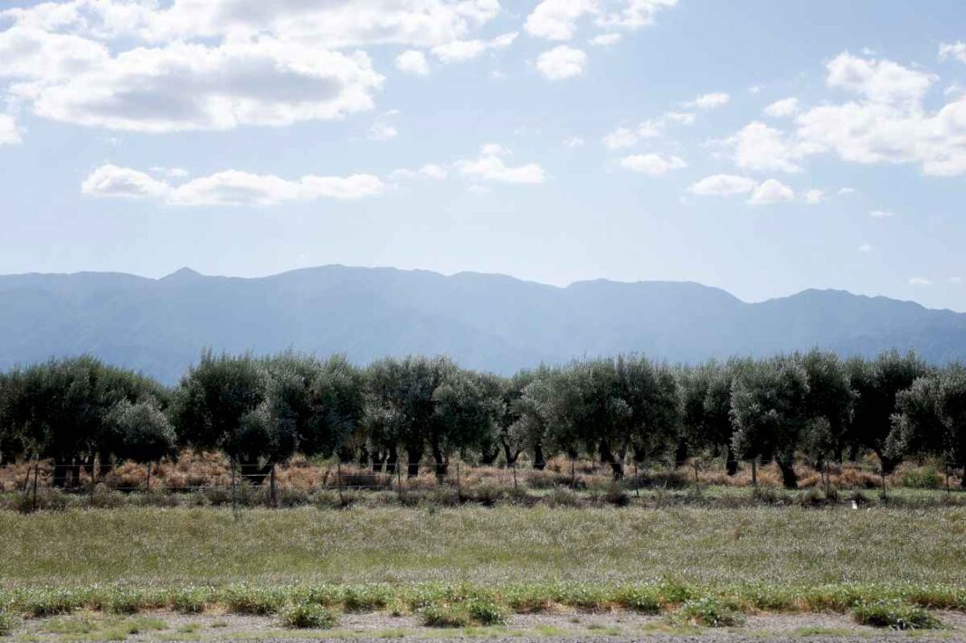 la-mineria-en-la-rioja-no-despega-y-el-estado-tiene-su-empresa