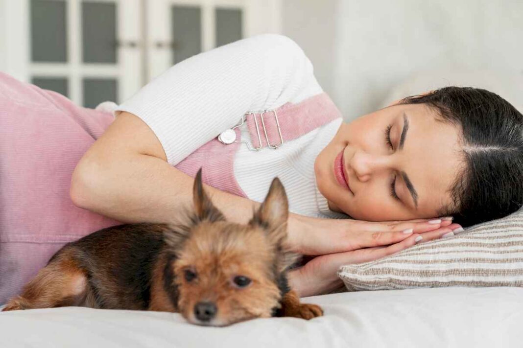 las-ventajas-y-riesgos-de-dormir-con-un-perro-en-la-cama