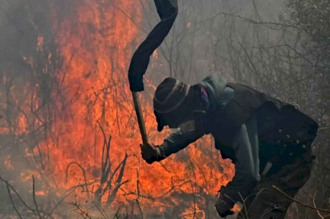 alerta-en-cordoba-por-las-altas-temperaturas