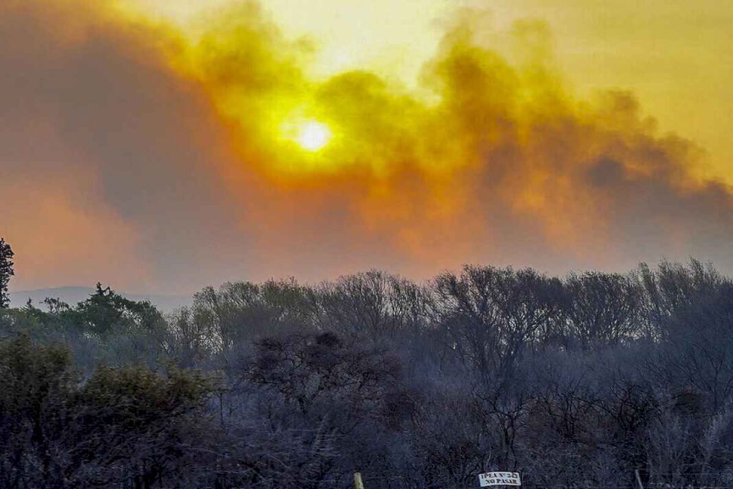 el-cambio-climatico-dispara-el-numero-de-muertes-por-el-humo-generado-por-los-incendios