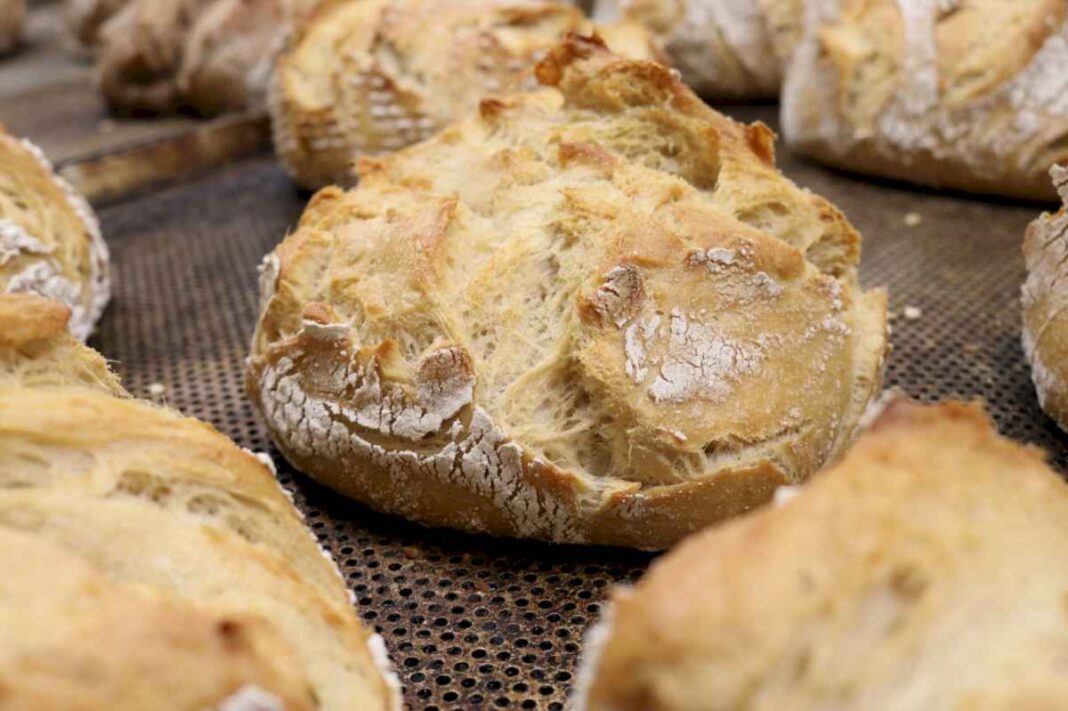 pan-de-masa-madre:-que-nutrientes-aporta-y-que-beneficios-esconde