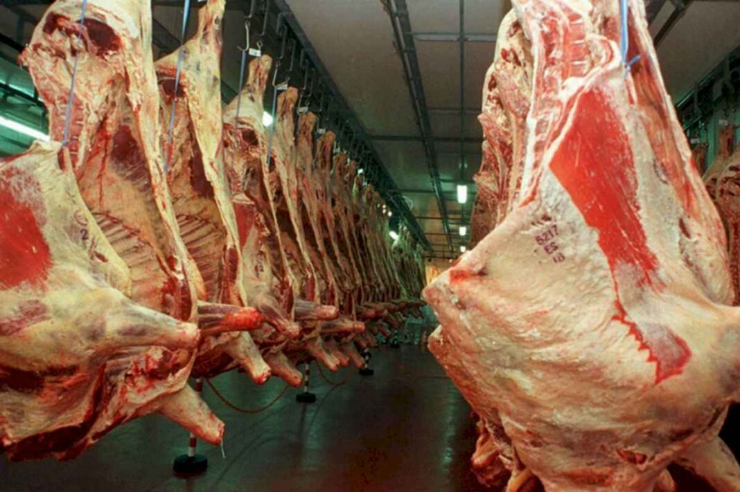 crecimiento:-anticipan-que-la-exportacion-de-carne-vacuna-dejara-al-pais-unos-us$3000-millones