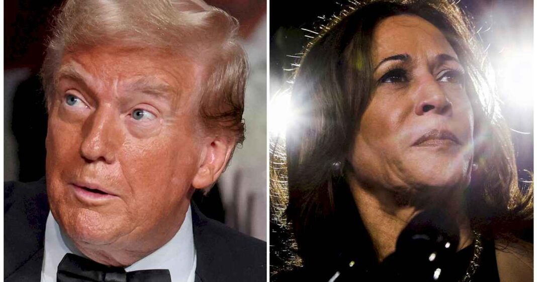 elecciones-en-estados-unidos-2024:-que-le-conviene-a-la-argentina-entre-donald-trump-y-kamala-harris?