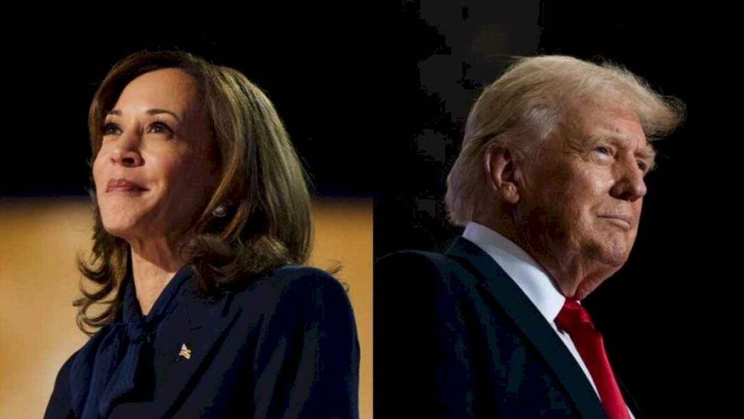 quienes-son-los-famosos-que-apoyan-a-kamala-harris-y-donald-trump