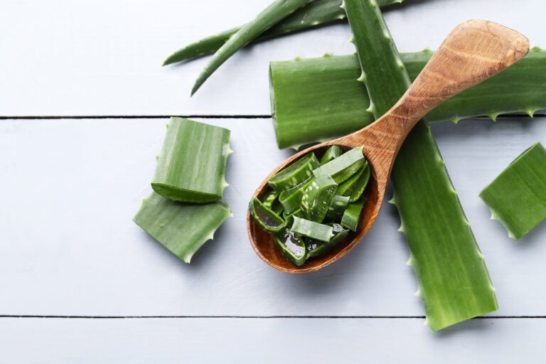 Qué pasa si nos aplicamos aloe vera en la cara todos los días