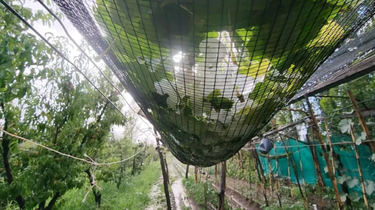 Alerta por tormentas fuertes y granizo en seis provincias