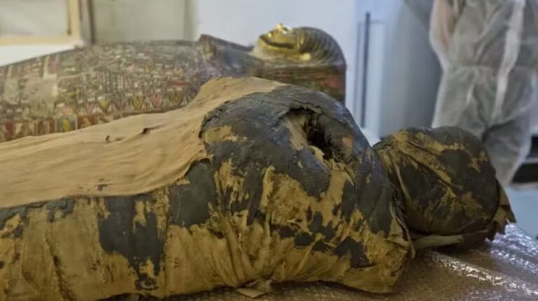 Se conoció la verdad sobre la Dama Misteriosa, la momia embarazada y con cáncer