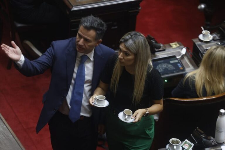 Crisis en el bloque libertario: Pagano y Bonacci no dieron quórum