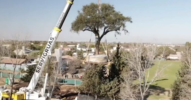 A pesar de las protestas, removieron el quebracho de más de 280 años de Villa Allende