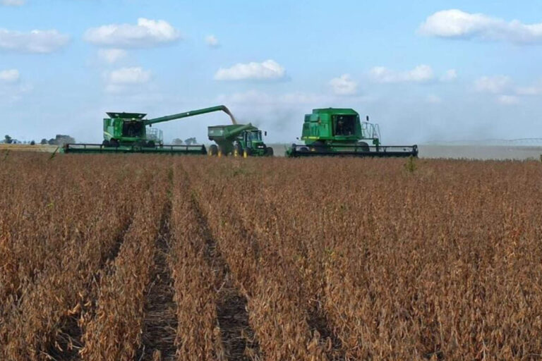 Suben los alquileres agrícolas en Córdoba y se amplían las diferencias por zona