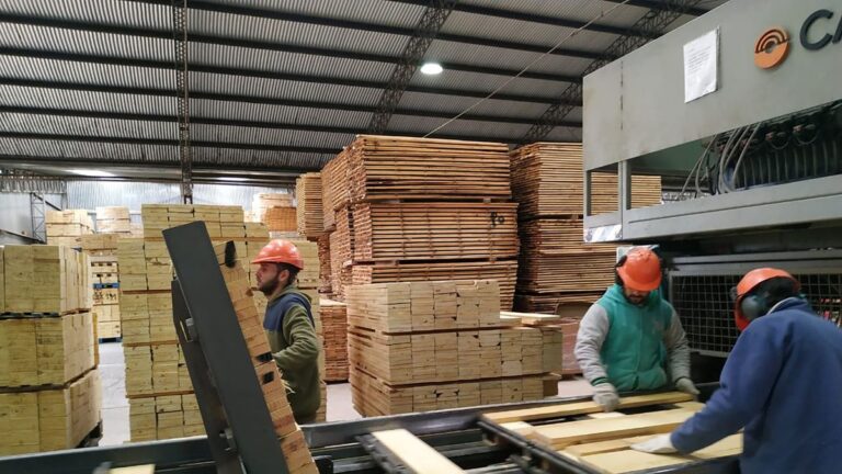 Por la suba del dólar, hay industrias que ya aumentaron precios y otras revisan las listas