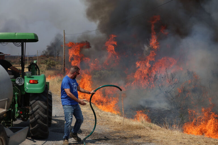 Los incendios forestales causan estragos en España