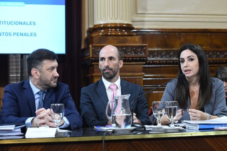 Milei puso como candidata en Provincia a la funcionaria encargada de controlar y financiar las elecciones