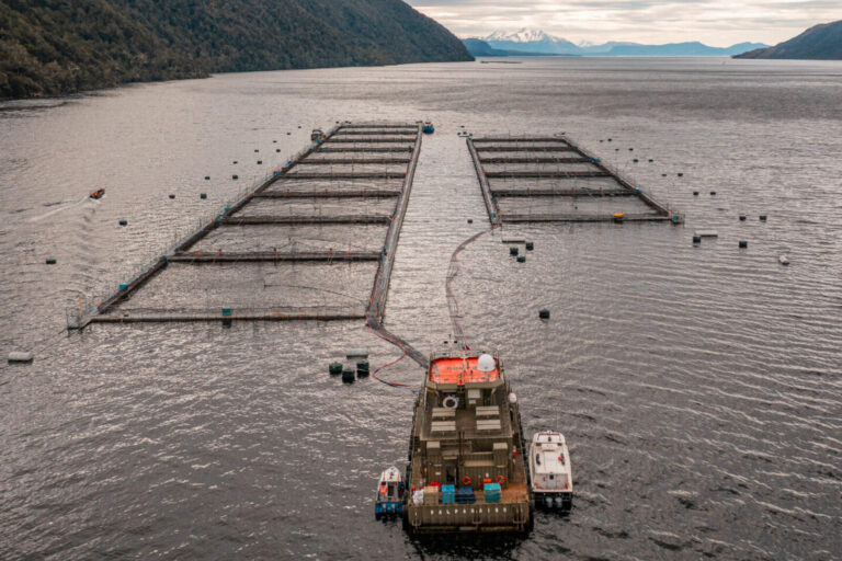 La Libertad Avanza busca permitir la salmonicultura en Tierra del Fuego