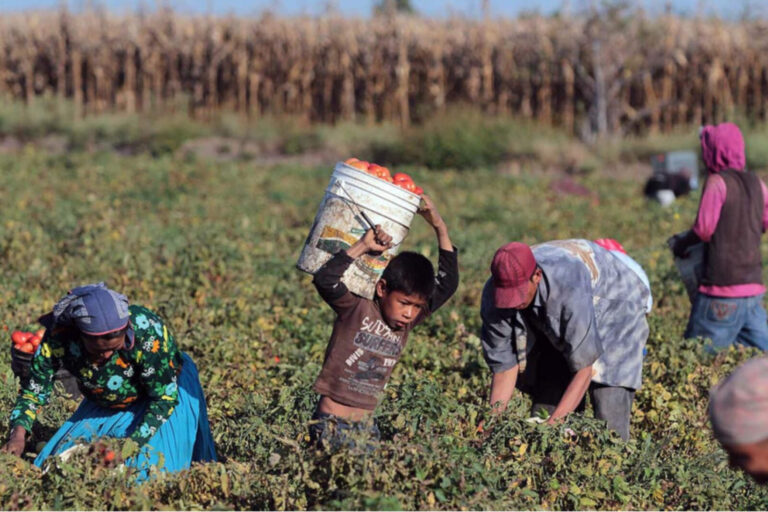 Acuerdo millonario en Córdoba: pagan para evitar juicio por explotación laboral