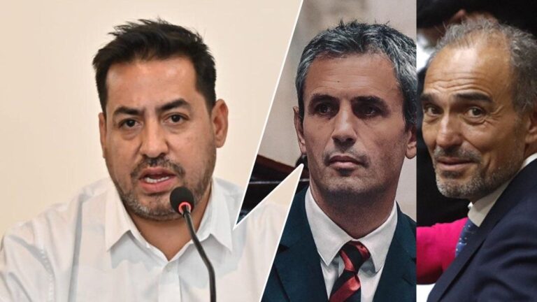 Familiar apuntó contra Lule y Martín Menem: «Están metidos en los hechos de corrupción del gobierno»