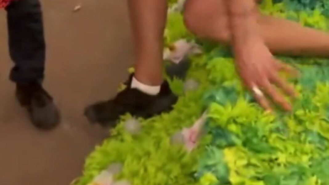 2109619-indignacion-en-jujuy-periodista-de-tn-dano-una-carroza-en-plena-fiesta-de-los-estudiantes