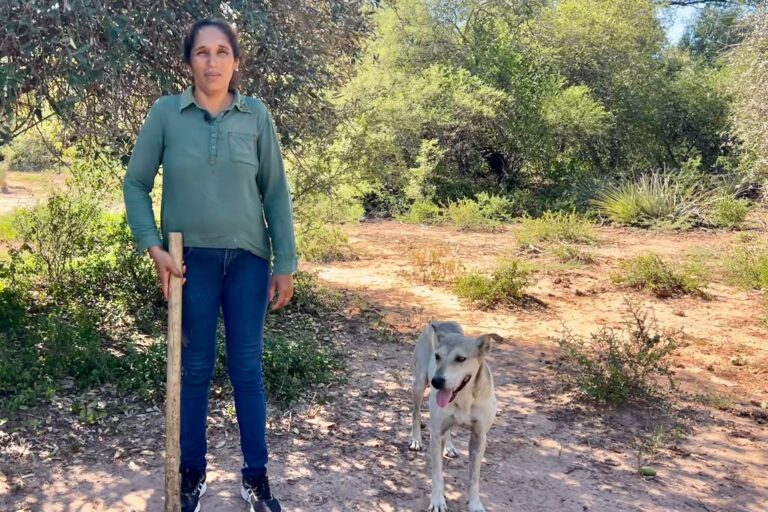 El conejo nos salva. Sale todos los días a cazar para que sus hijos no se acuesten con hambre