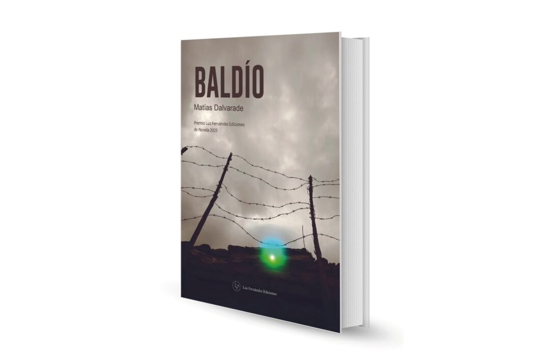 Portada del libro Baldío, novela de Matías Dalvarade.