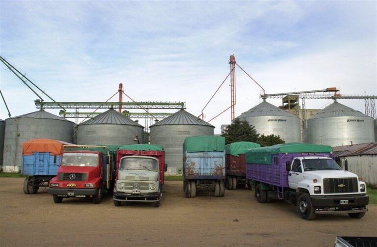 Camión transportando granos en un campo agrícola argentino, con silos al fondo.