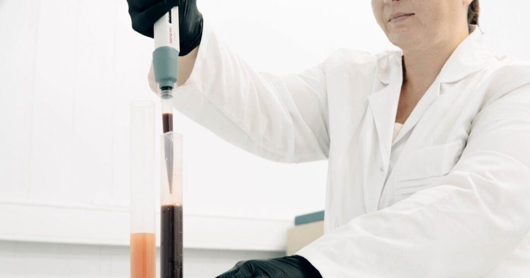 Tamara Rubilar, investigadora del CONICET, en su laboratorio trabajando con organismos marinos.