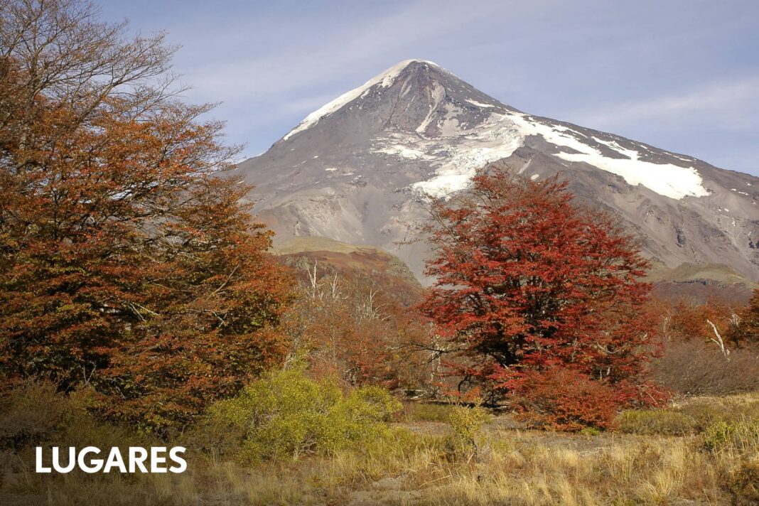 Paisaje otoñal en un bosque de un parque nacional argentino, con árboles de tonos rojizos y amarillos.