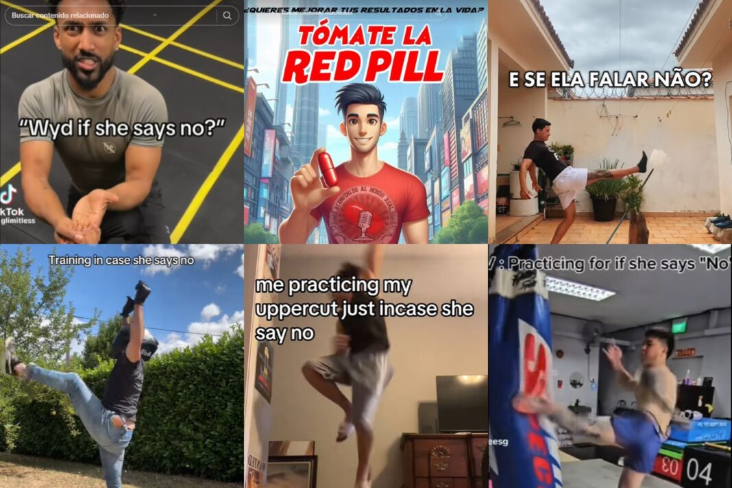 Captura de pantalla de un video de TikTok con advertencia sobre violencia de género