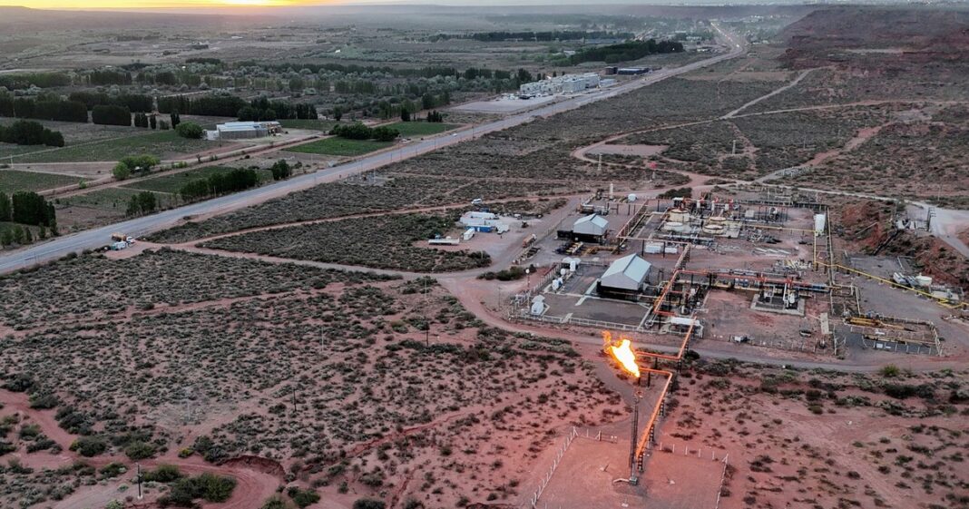 Mapa de la Argentina destacando las provincias con creación y pérdida de empleo registrado.