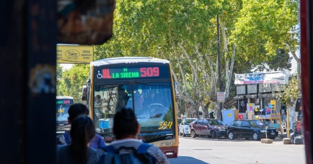 Colectivo de transporte público circulando por una avenida de Buenos Aires