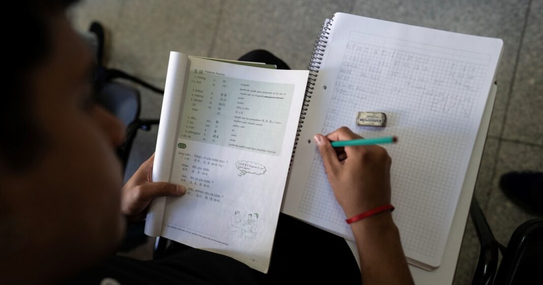 Persona estudiando mandarín en Buenos Aires