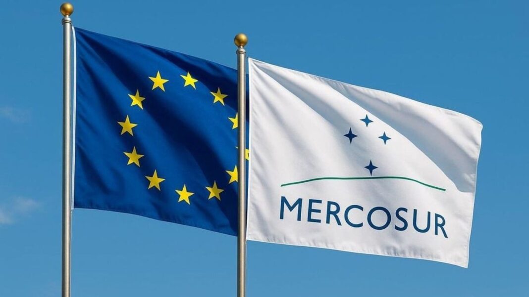 Huevos en una granja de Argentina listos para exportación hacia la Unión Europea