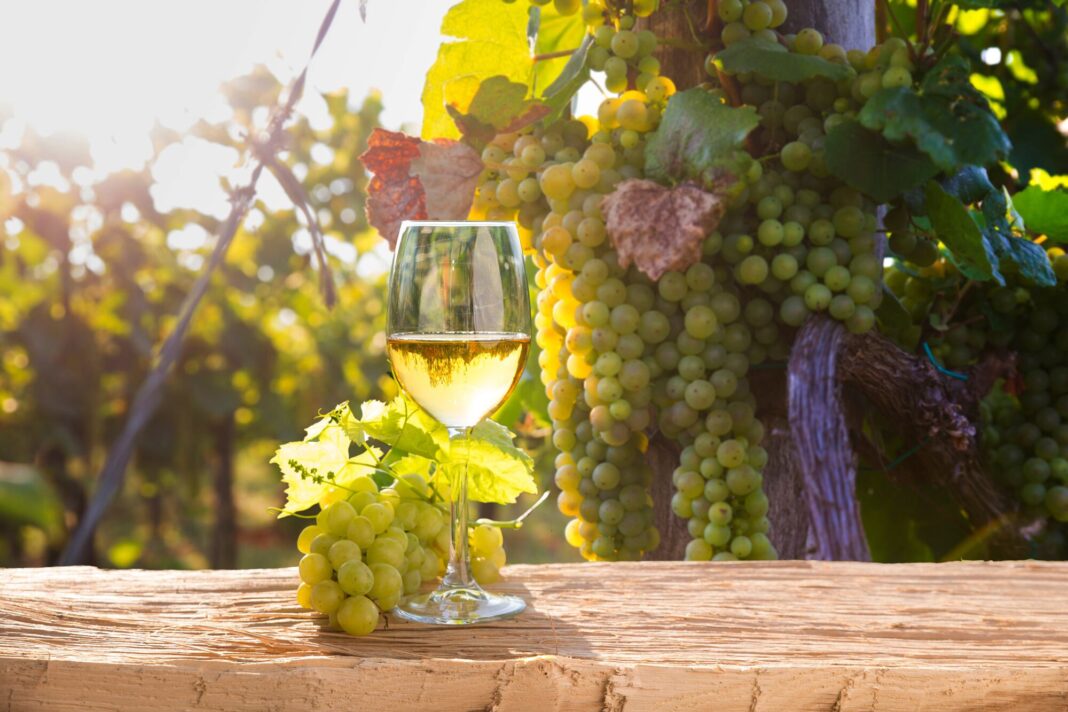 Copa de vino Sauvignon Blanc junto a una botella y uvas