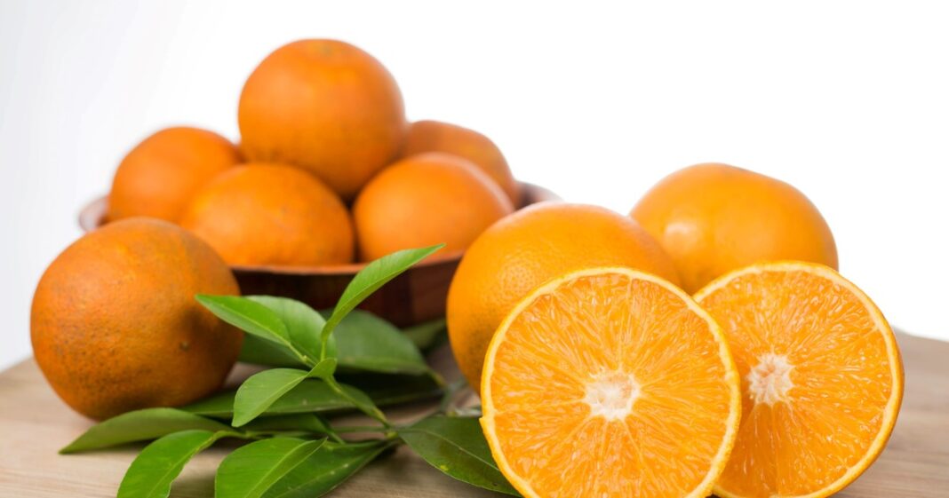 Semillas de naranja sobre tierra junto a una planta en maceta