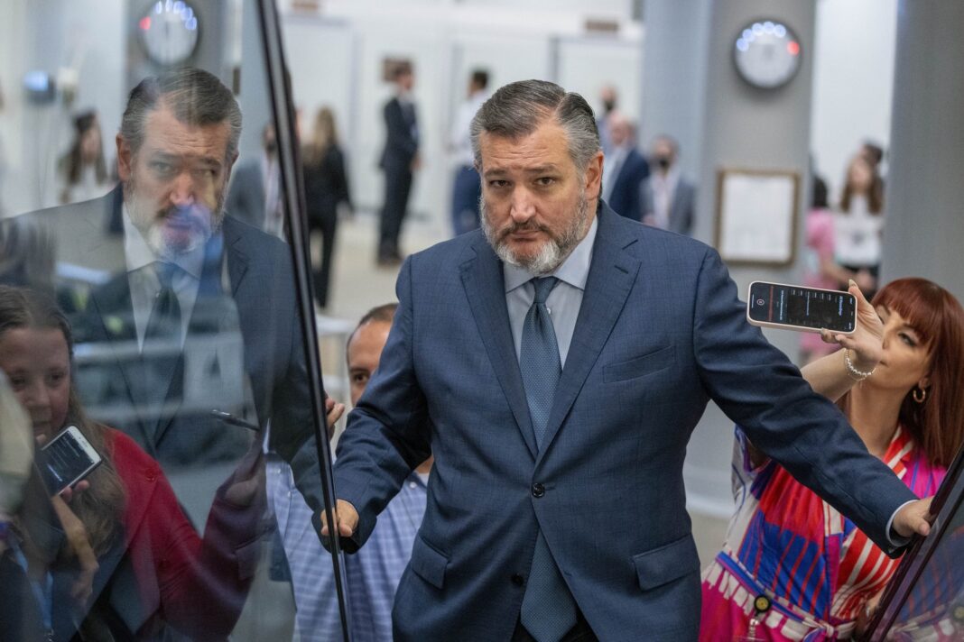 Ted Cruz senador republicano