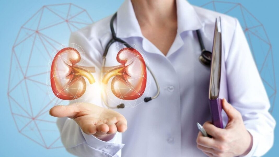 Ilustración de un riñón con un tumor en su interior