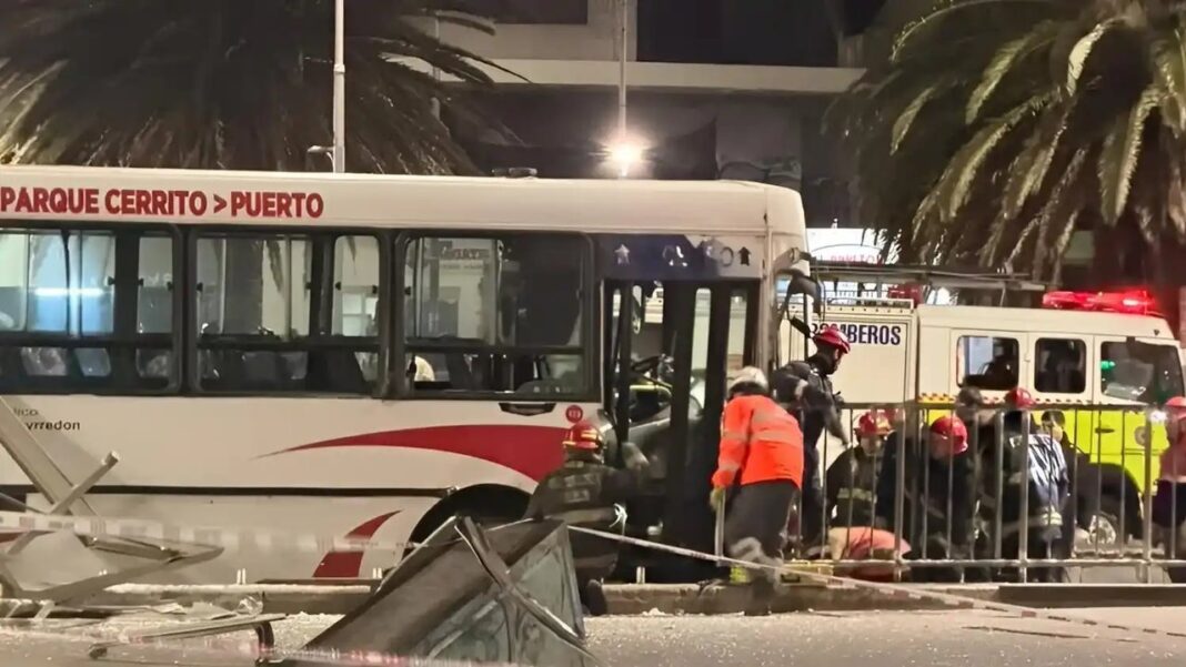 Colectivo de la línea 532 en Mar del Plata involucrado en accidente fatal