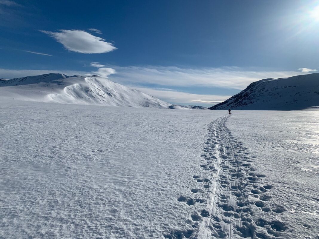 Núcleo de hielo extraído en Groenlandia utilizado para análisis de contaminación atmosférica