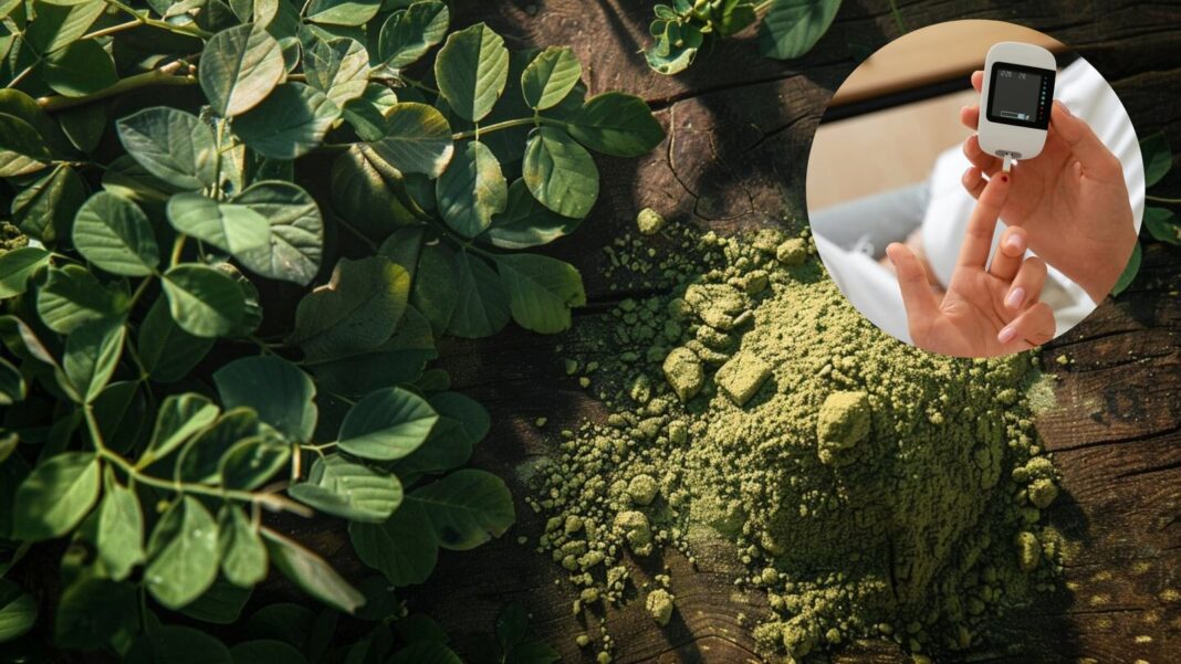 Hojas de moringa frescas sobre una superficie de madera