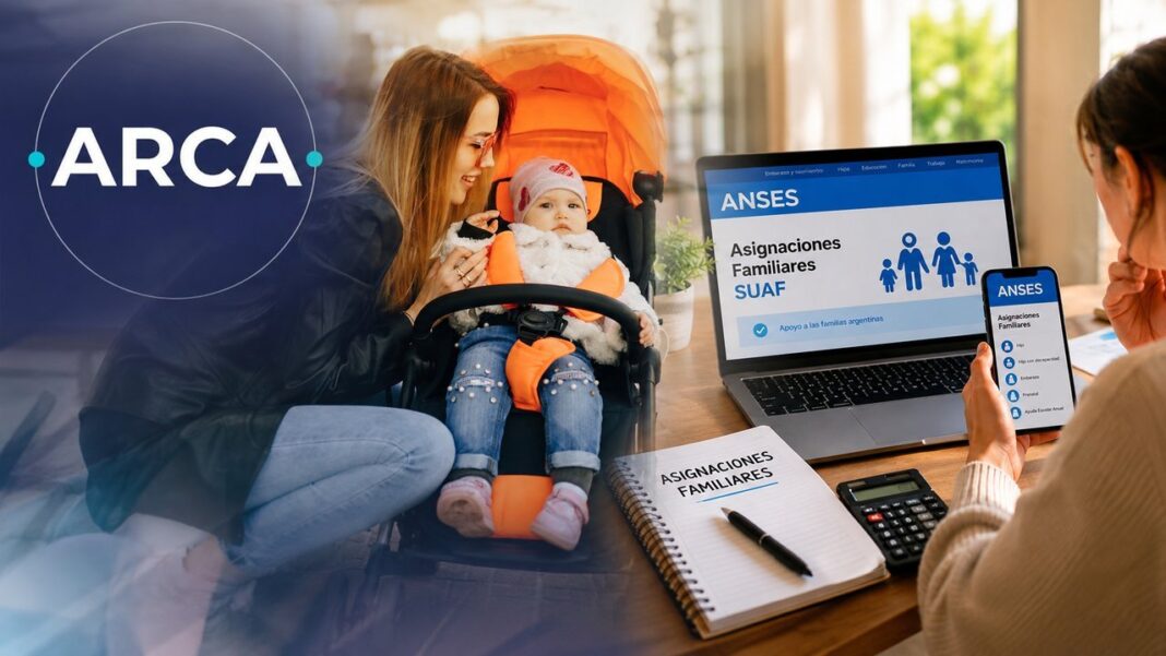 Persona revisando documentos en una computadora para verificar su situación en ANSES