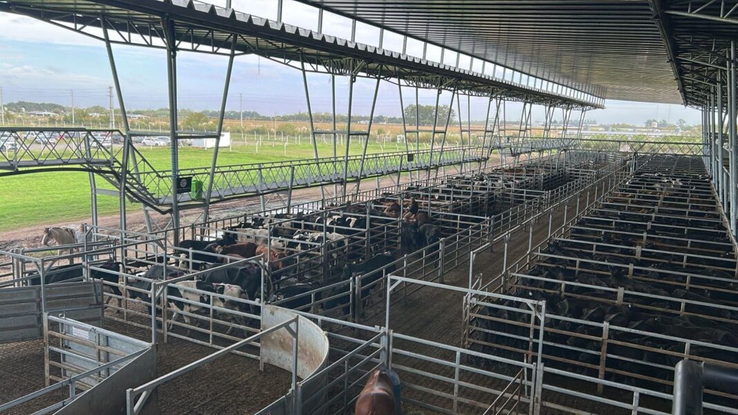 Mercado Agroganadero de Cañuelas