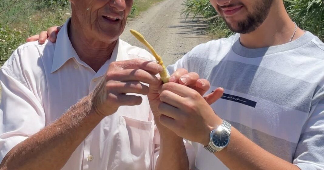 Manuel Bonilla, agricultor de 82 años, en el campo junto a su nieto Dani