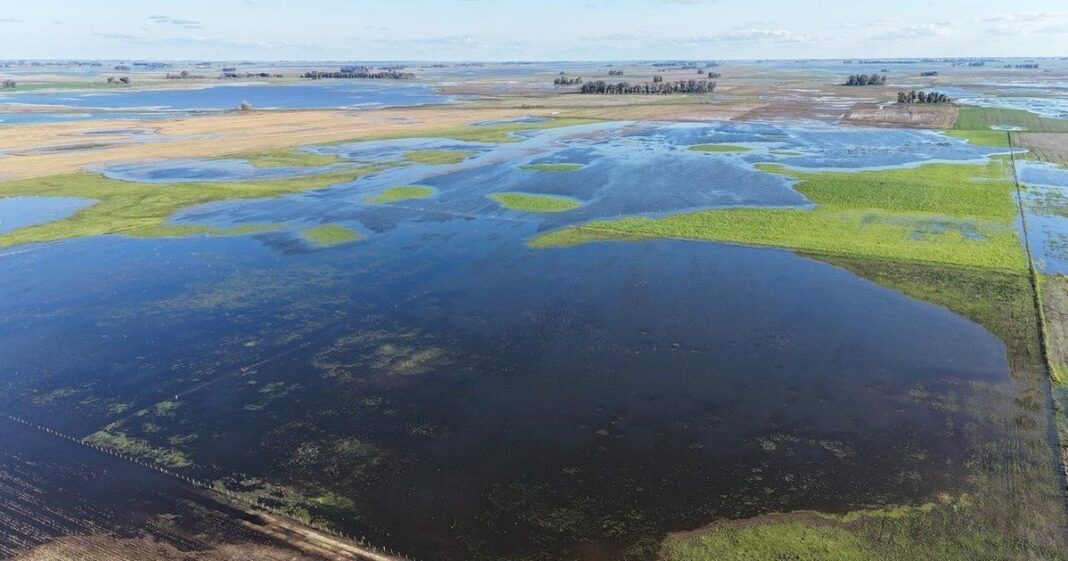 Campo agrícola en Argentina