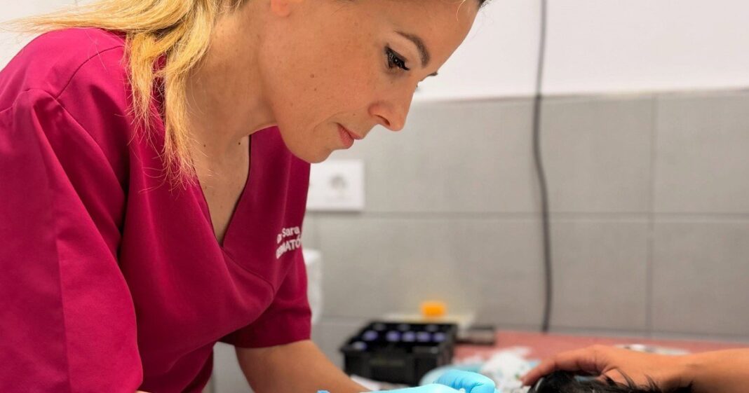Sara Peña, veterinaria especialista en dermatología canina