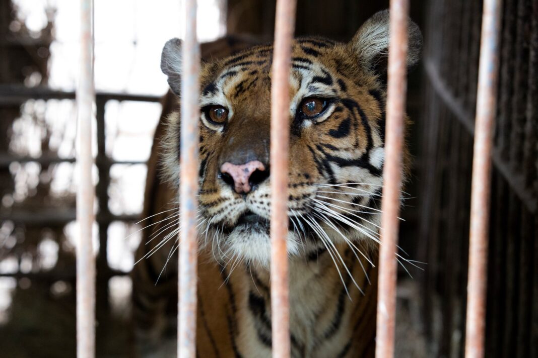 Zoológico cerrado con cartel de clausura