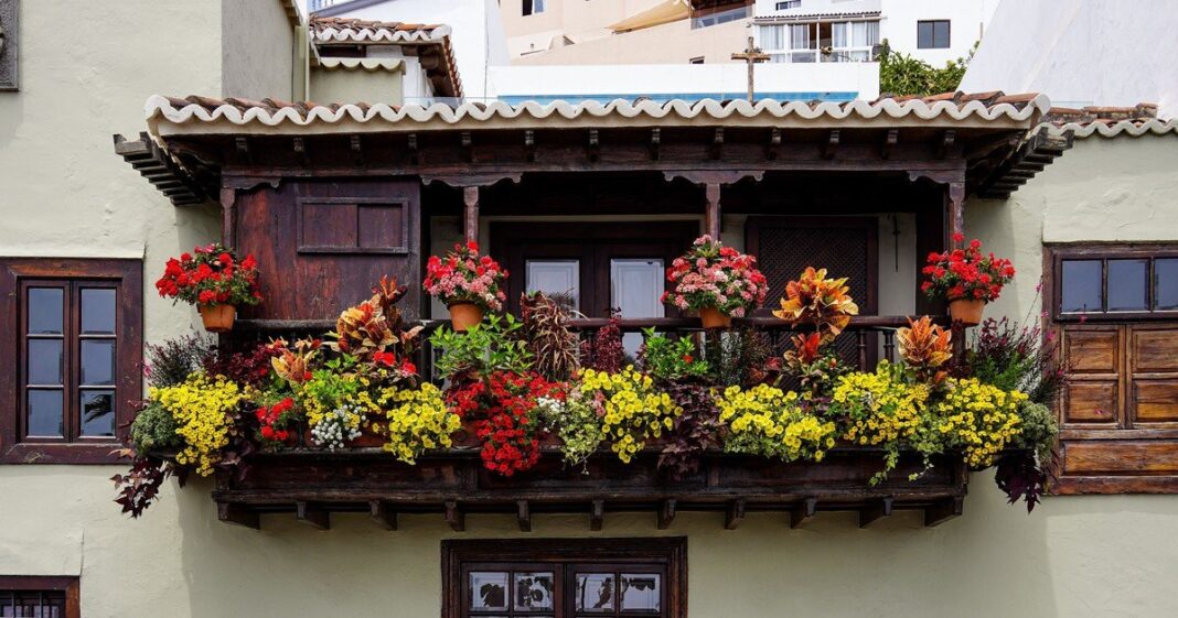 Geranios de flores rojas y rosas en macetas sobre un balcón soleado